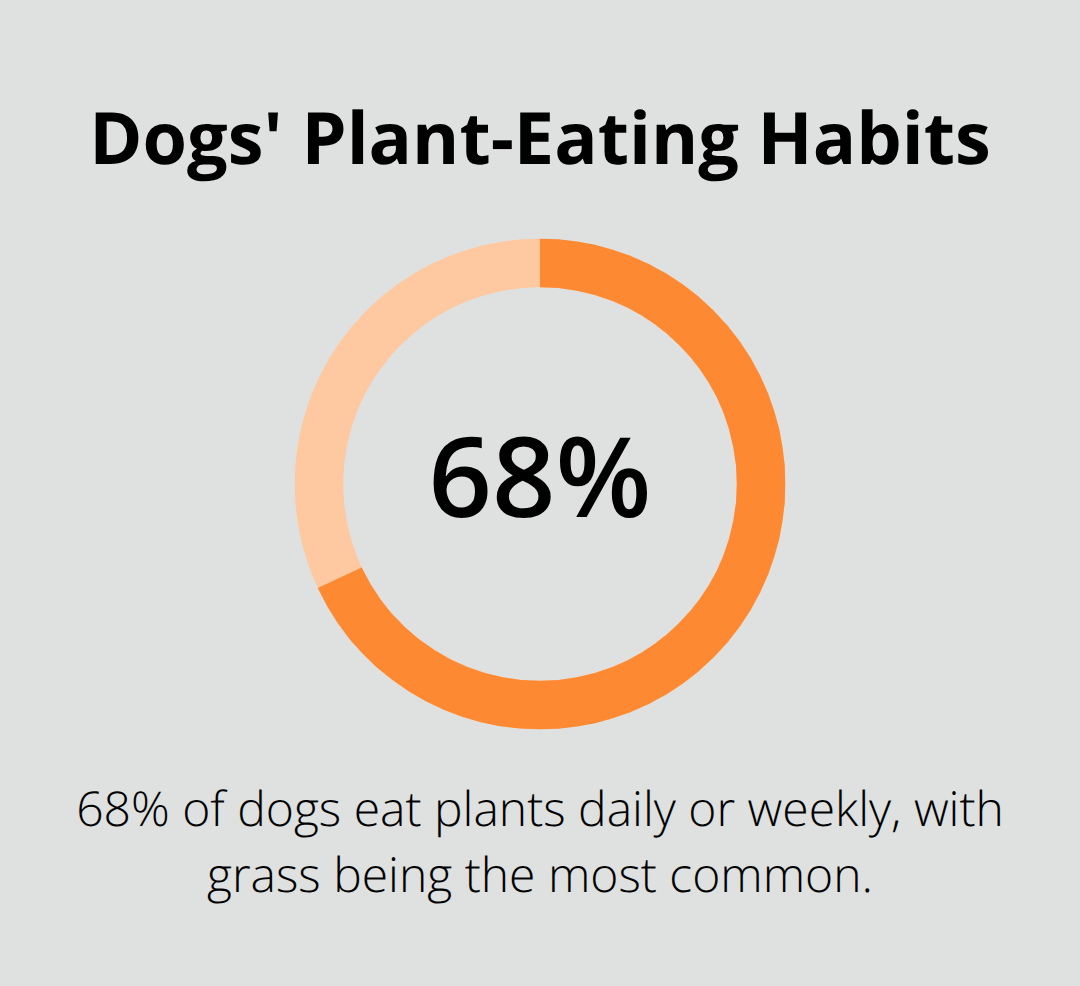 A percentage chart showing that 68% of dogs eat plants on a daily or weekly basis. - funny dog habits