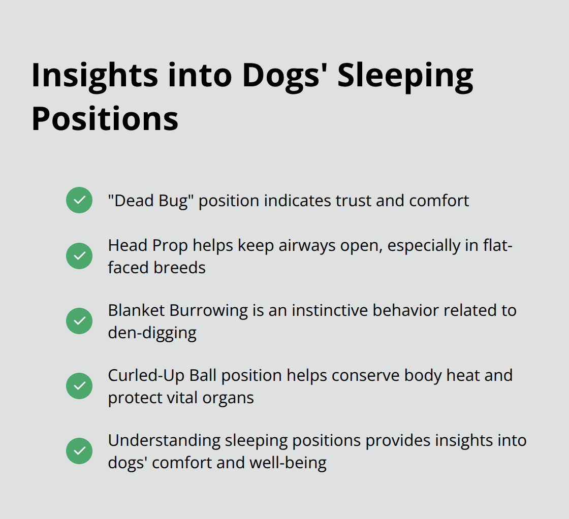 A checkmark list showing five insights into dogs' sleeping positions: - funny dog habits