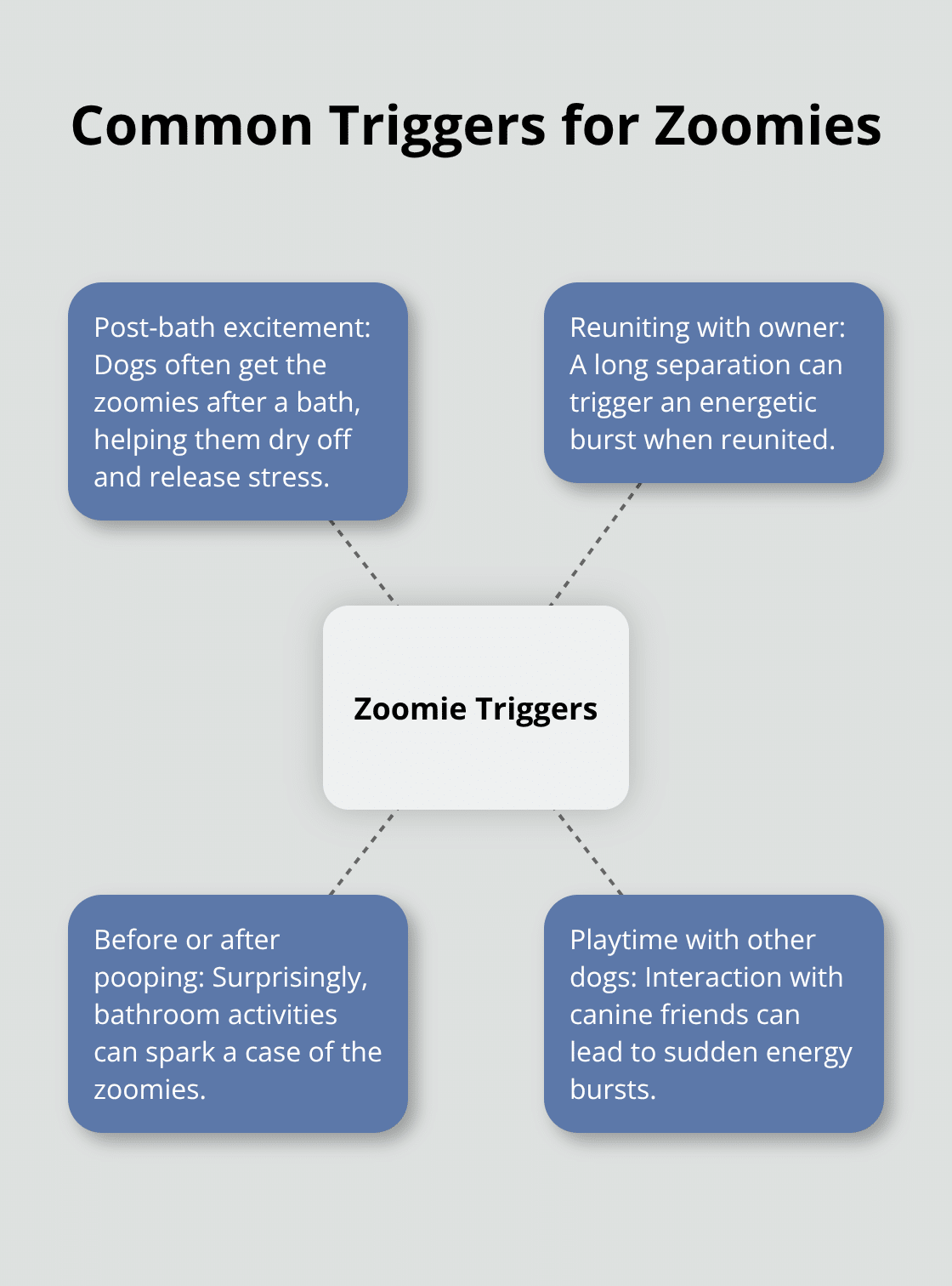 A hub and spoke chart showing four common triggers for dog zoomies: post-bath excitement, reuniting with owner, before or after pooping, and playtime with other dogs.