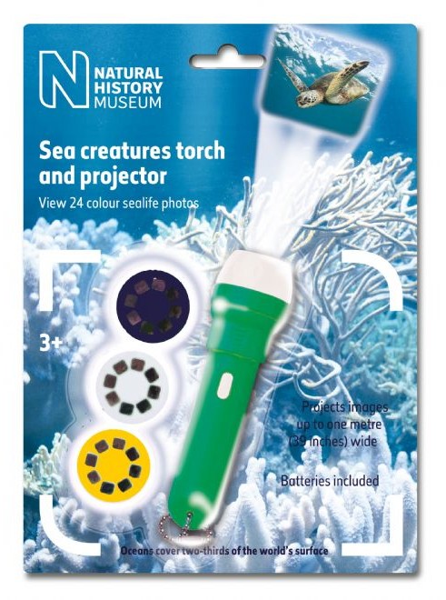 BRAINSTORM Zwierzęta Wodne